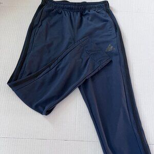 Adidas Blue sweatpants